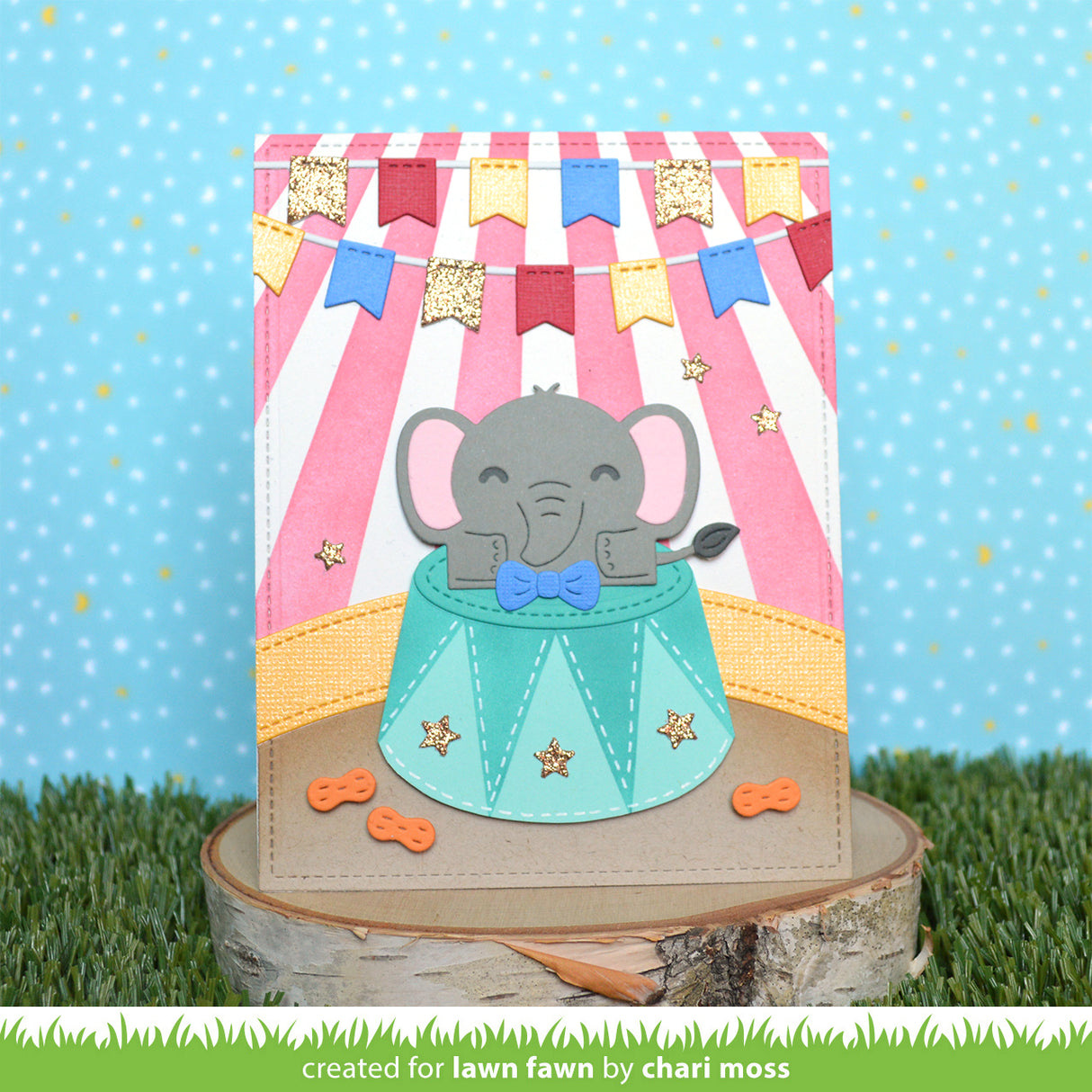 tiny gift box elephant add-on