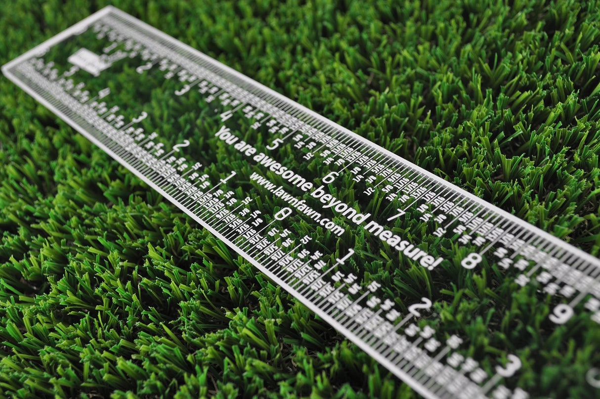 12" clear ruler